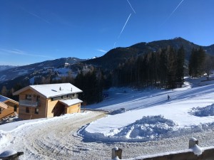 Alpenchalets Reiteralm