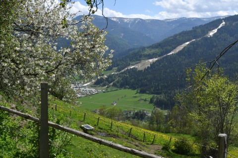 Kreischberg Chalets