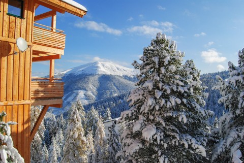 Alpenpark Turracherhöhe